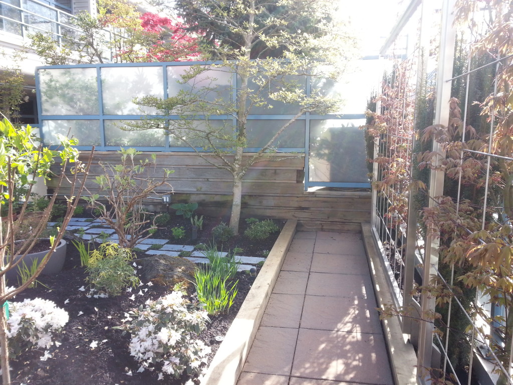 Frosted balcony glass membrane and patio tile pathway cleaned after SPM service