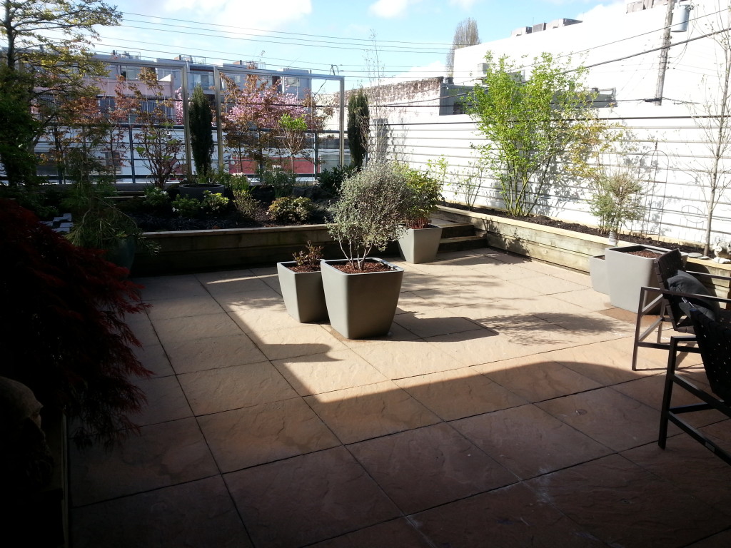 Vancouver south facing balcony patio - Deck garden renewed with multiple service applications and treatments - SPM service complete