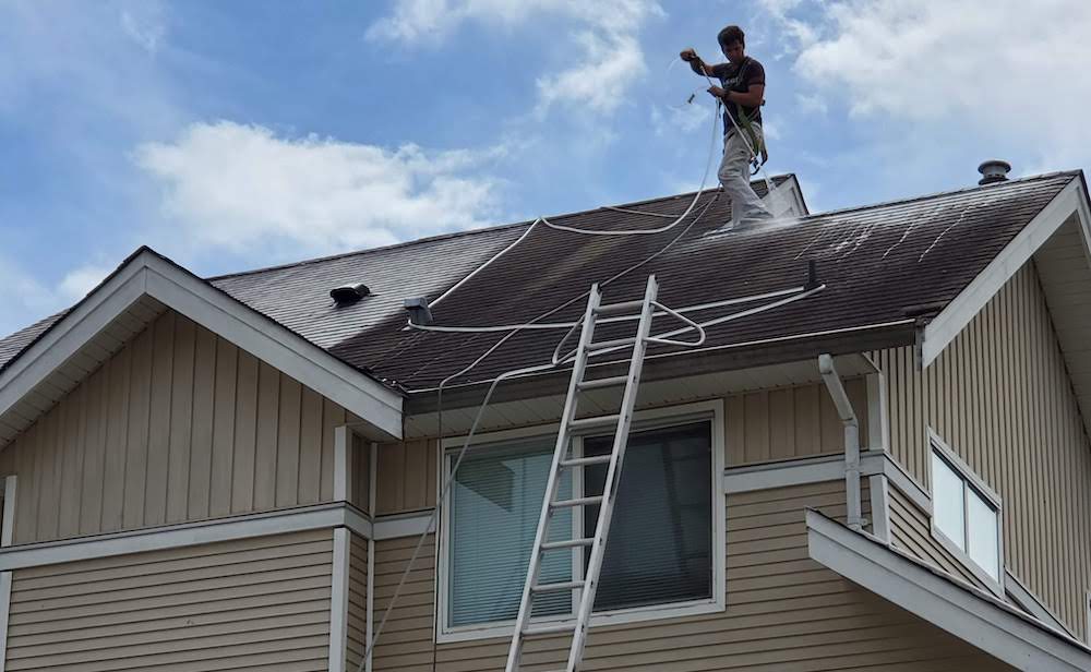 SPM Inc Vancouver strata shingles roof algae stain removal during service