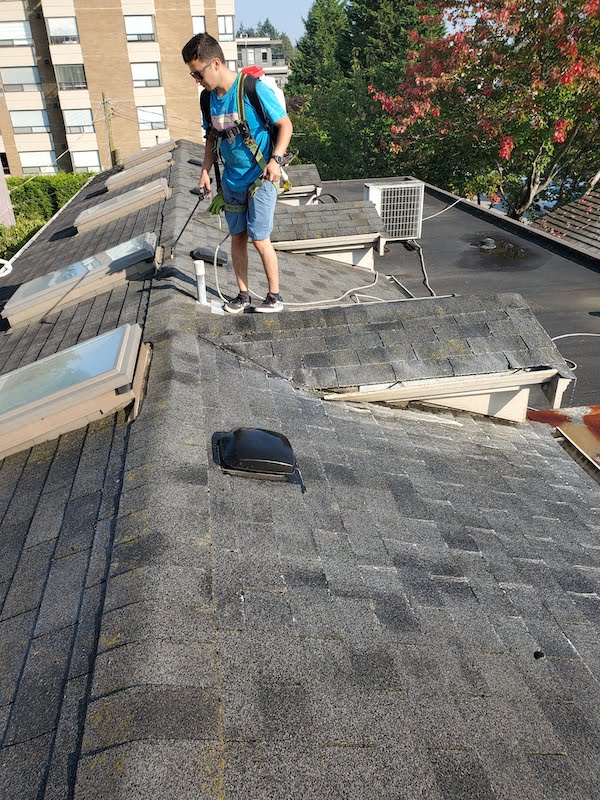 SPM Inc Vancouver strata shingles roof moss removal service during spray solution